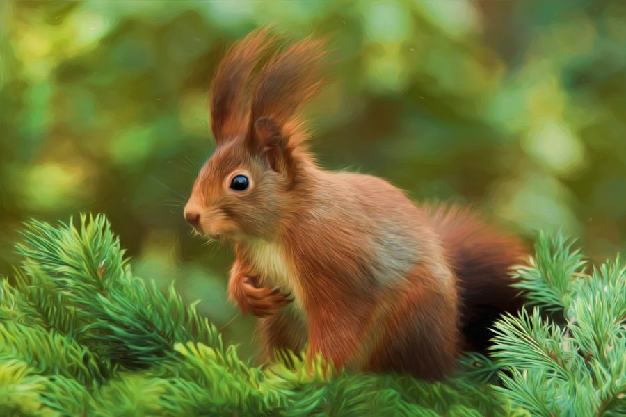 I will draw realistic art portrait of your pet or any animals