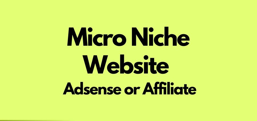 I Will Create An Adsense Micro-Niche Website