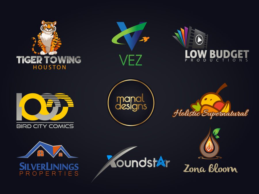 I will do 5 unique and professional logo design