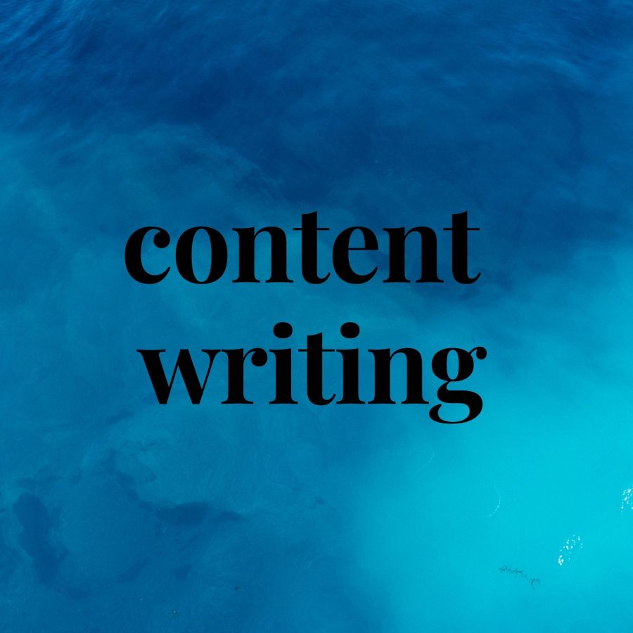 I will Write 1000+ words unique content for your website 