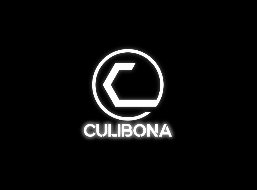 Design you Unique Logos and designs