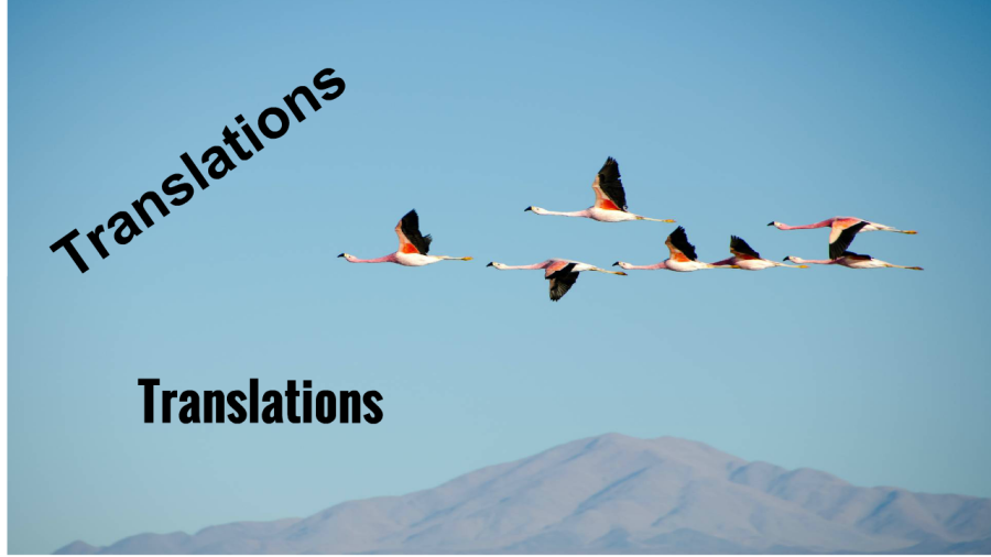 I will translate, edit and proofread between English, Hindi and Bengali language