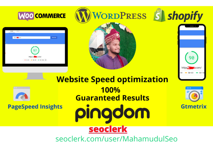 I will do website Pro optimization, increase page speed