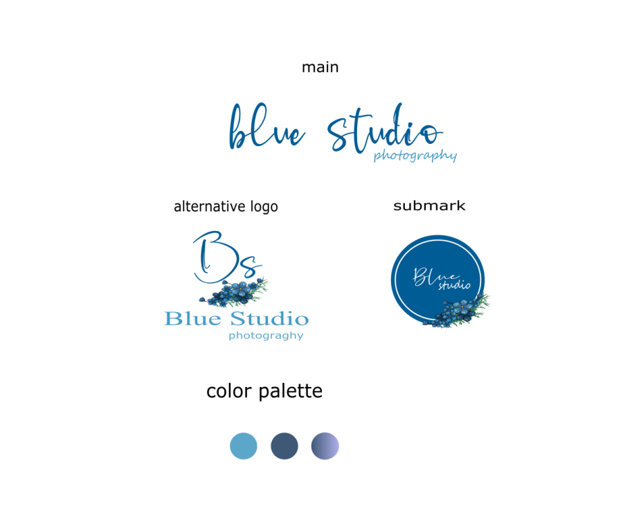 I will design high quality best signature logo for you