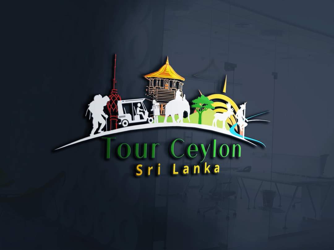 The best package for professional logo designs with 3 basic logo concepts just