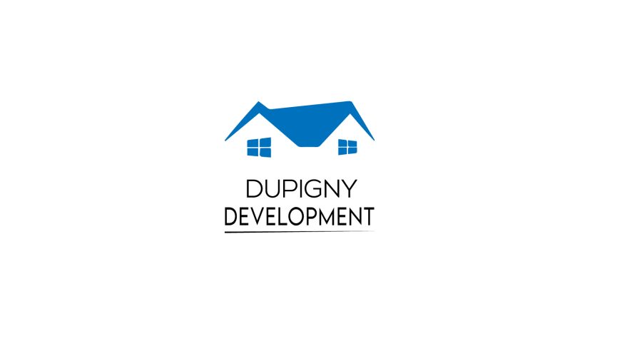 I will do premium business logo design for you