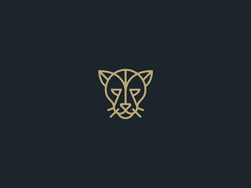 I'll make your logo bro Choose me !!! I'll design 3 modern minimalist logo design