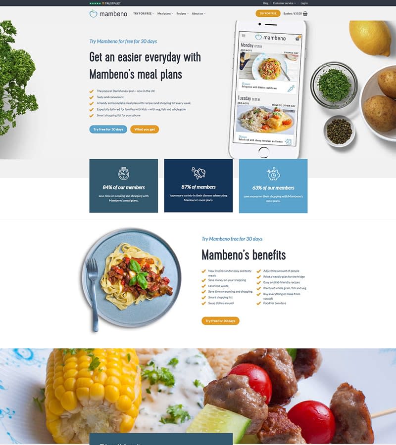 I will do any wordpress customization for you, landing page