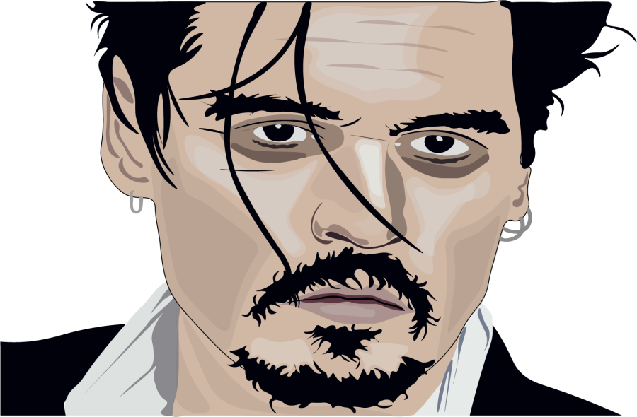 i will do vector illustration for you