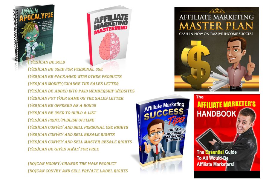 I Will give E-books with PLR License about Affiliate Marketing 