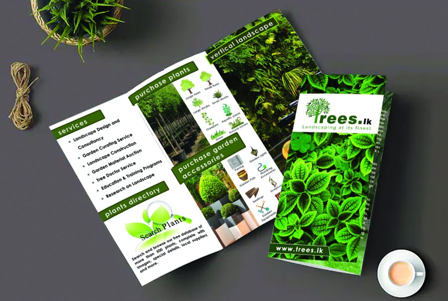 I will design business flyer, leaflet, trifold brochure, postcard