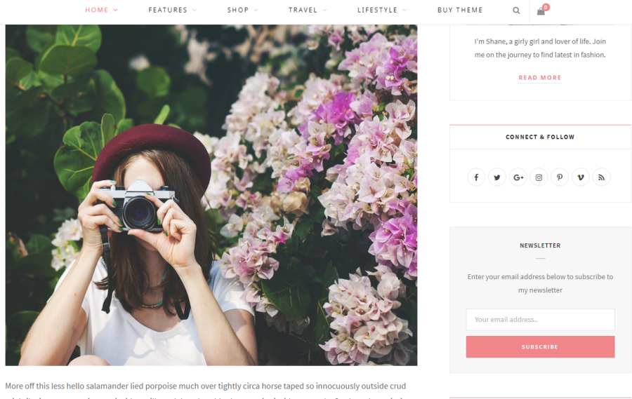 customized professional and responsive wordpress website