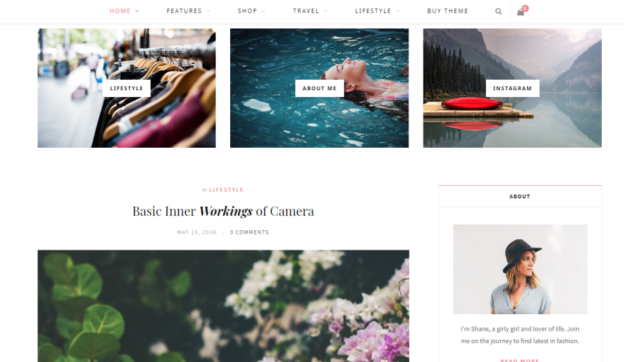 customized professional and responsive wordpress website