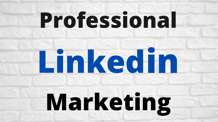 I will setup and optimize your Linkedin business page and ad campaign professionaly 