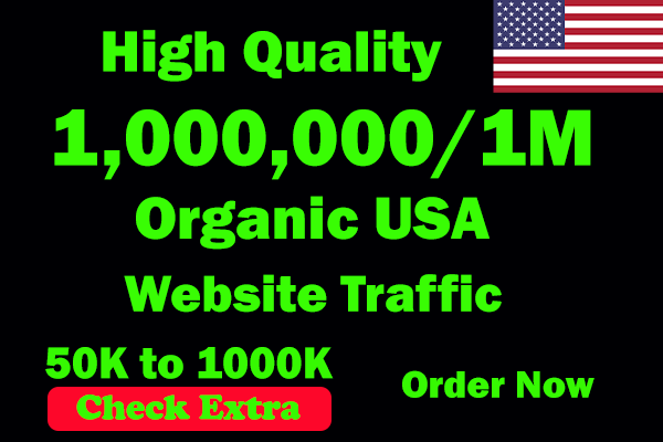I will Drive 1 Million USA Keyword Targeted Traffic To Your Website Within 100 Days.