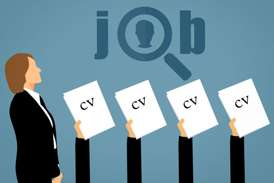 I will provide professional resume writing services for you
