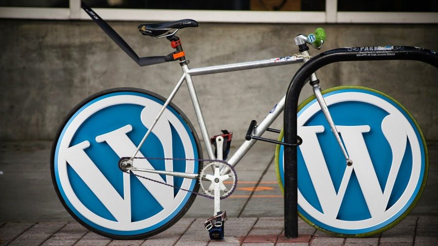 WordPress guard software for protection 