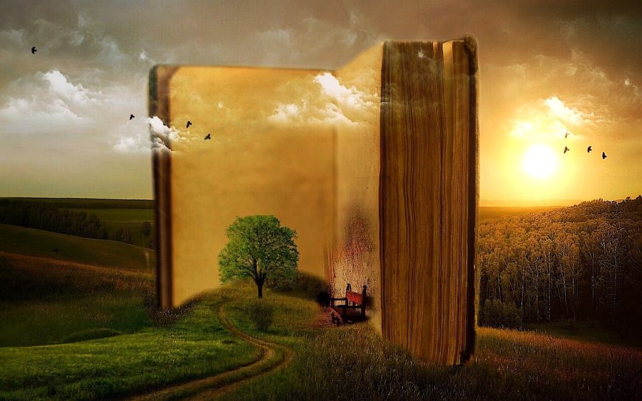 I will write 500 Words well researched and SEO optimized Article and content .