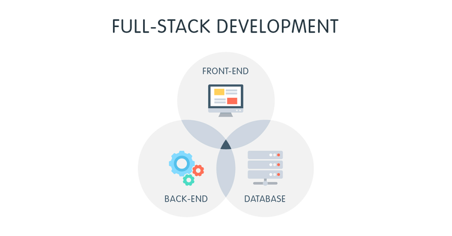 I will build web application, front end with vuejs and nodejs