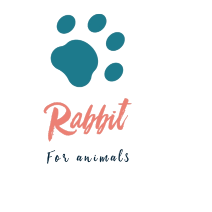 I will design your handwritten logo