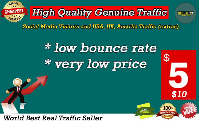 I will drive 100,000 genuine web traffic