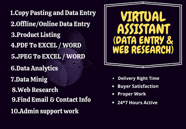 I will do professional data entry, web research, data conversion, admin support