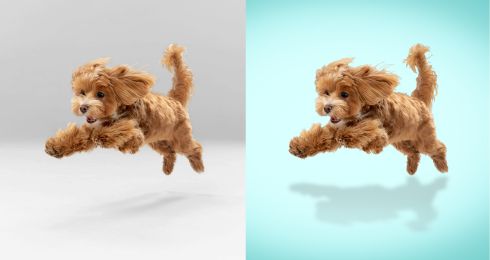 Expert eBay & Amazon Product Photo Editing | Background Removal & Retouching