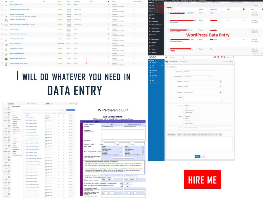 Do perfect data entry, web research and copy paste