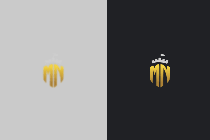 I will vectorize or vector trace your logo
