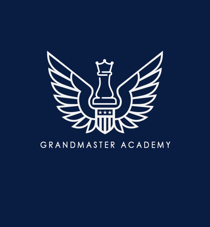 I will design you a professional logo an affordable price