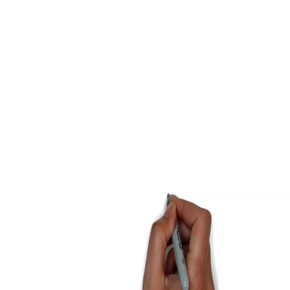 custom whiteboard animation video or whiteboard explainer video