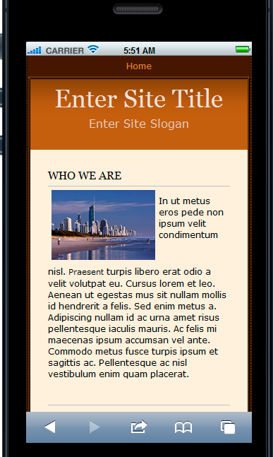 Website templates in various format and CMS.