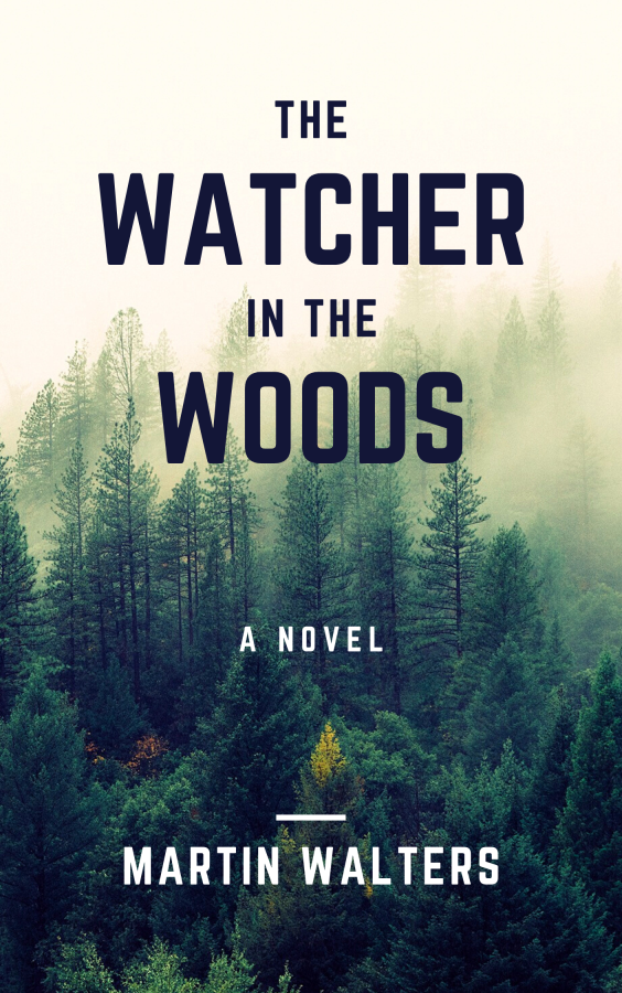 I will design professional book cover or ebook covers