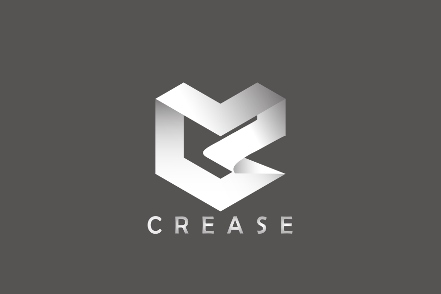 I will do professional and creative 2 logo designs