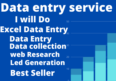 I Will be Perfect Data Entry Works For Your Business
