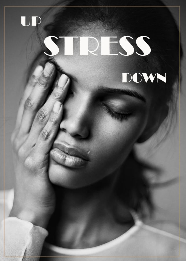 I will design a professional book cover for you
