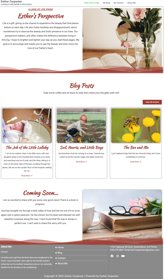 I Will create a modern responsive WordPress website design