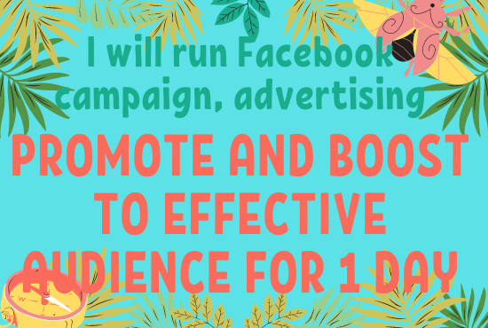 I will run Facebook campaign, advertising, promote and boost to effective audience