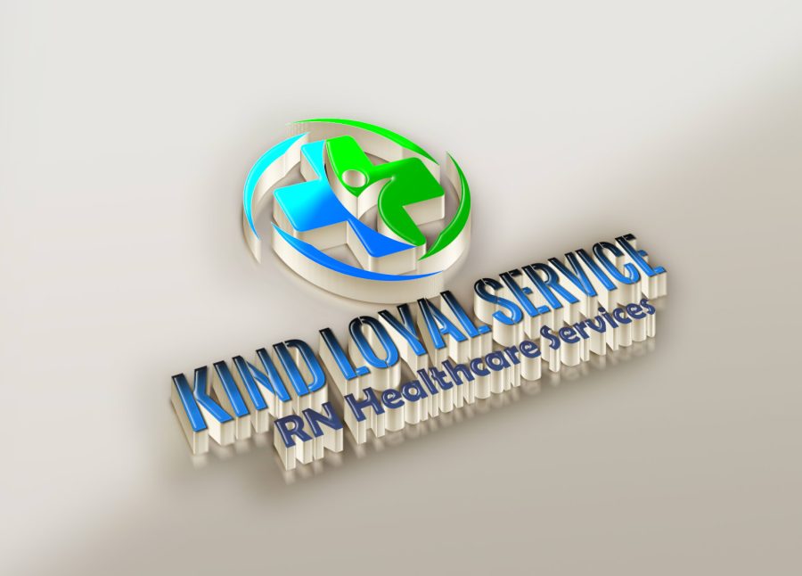 I will design your logo and brand style guide quickly