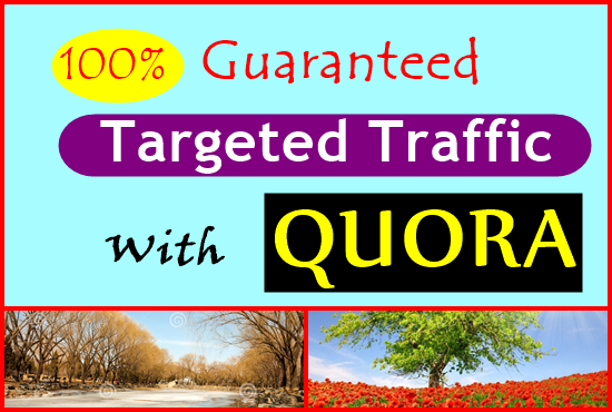 Guaranteed 100% target traffic with Quora 30 blank answers.