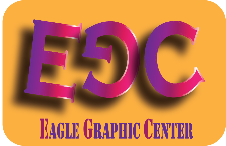 I will design the best logo for the identity of you and your company 