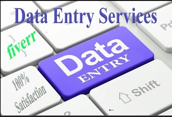 I will do excel data entry, web research, data entry, copy paste, virtual assistant