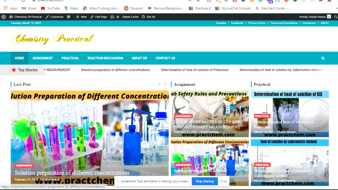I will responsive professional wordpress website design and blog