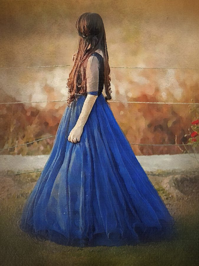 I will draw digital oil painting within 24 hours