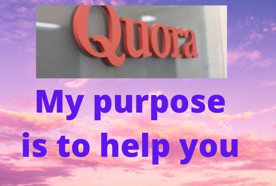 100% guaranteed your work 30 Quora Answer