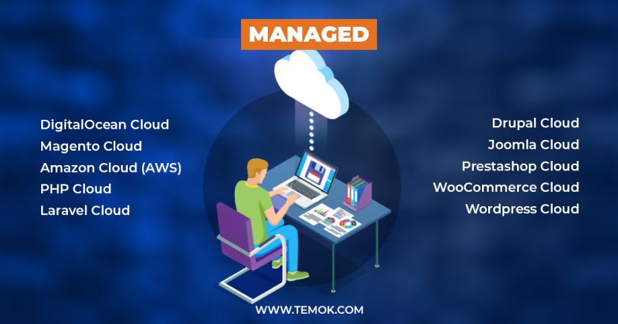 Best Web Hosting Solutions | Temok IT Services
