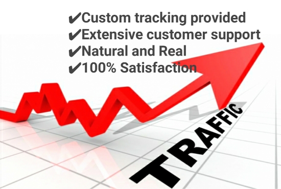 I Will bring USA targeted daily real Organic web traffic