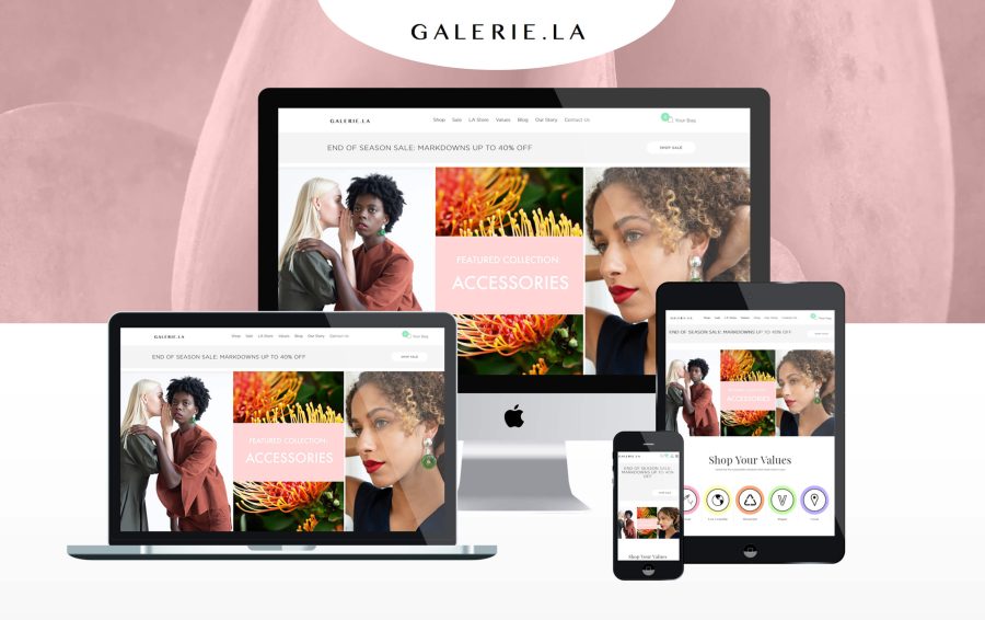 Installation of theme setup on your website