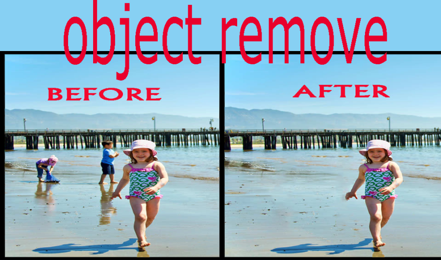 i will Object Remove and add Urgently