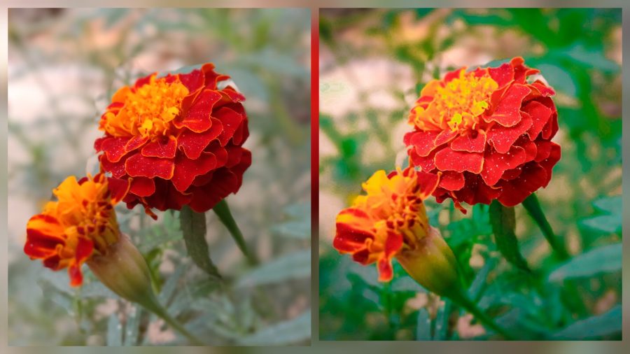 Photo Editor And Retouching Specialist and Background Remover 8 Years Experience